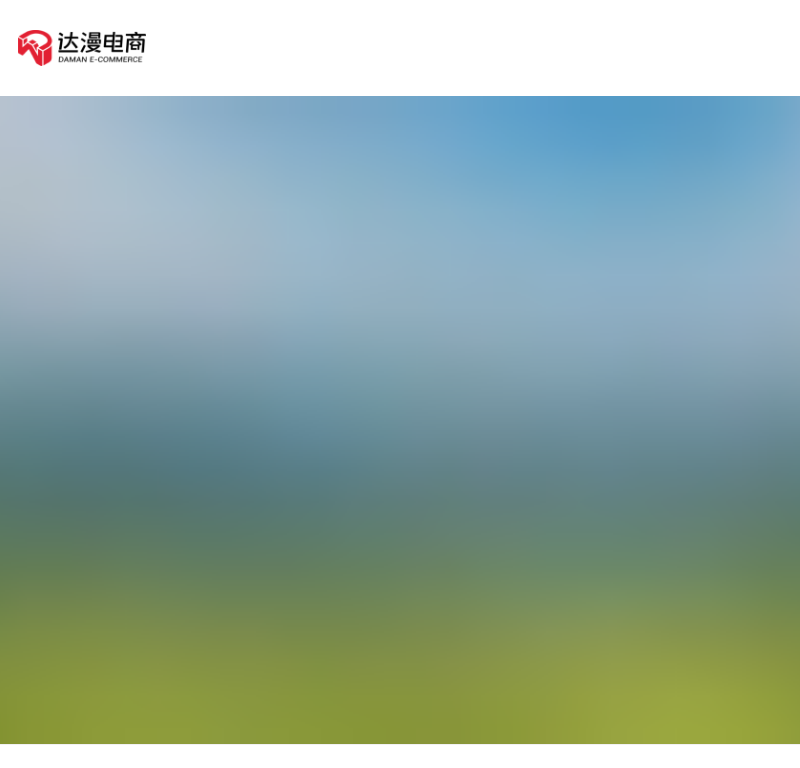 达漫电子商务