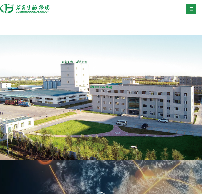 谷实生物集团