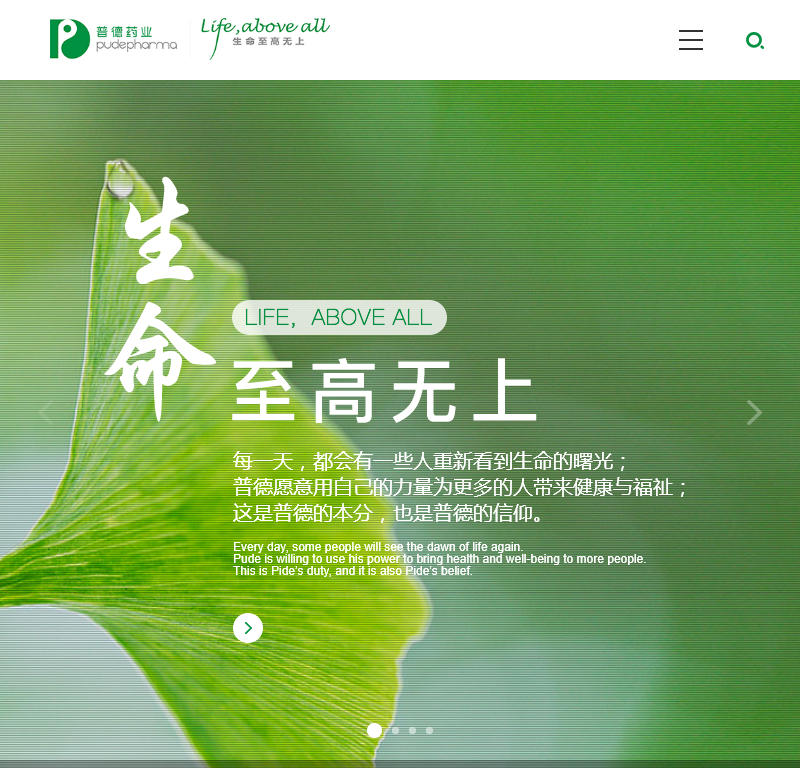 山西普德药业官网