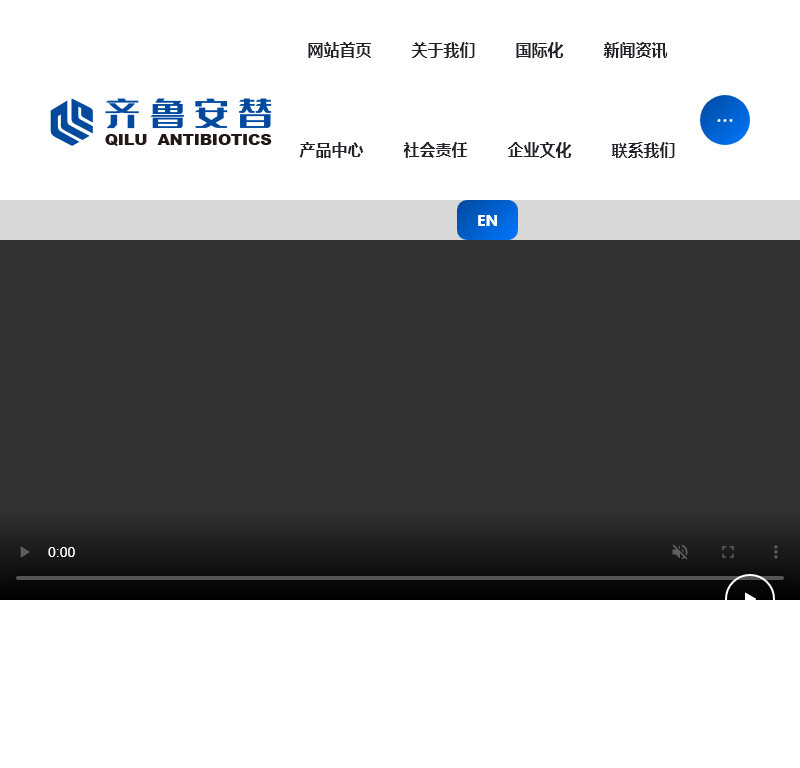 齐鲁安替制药