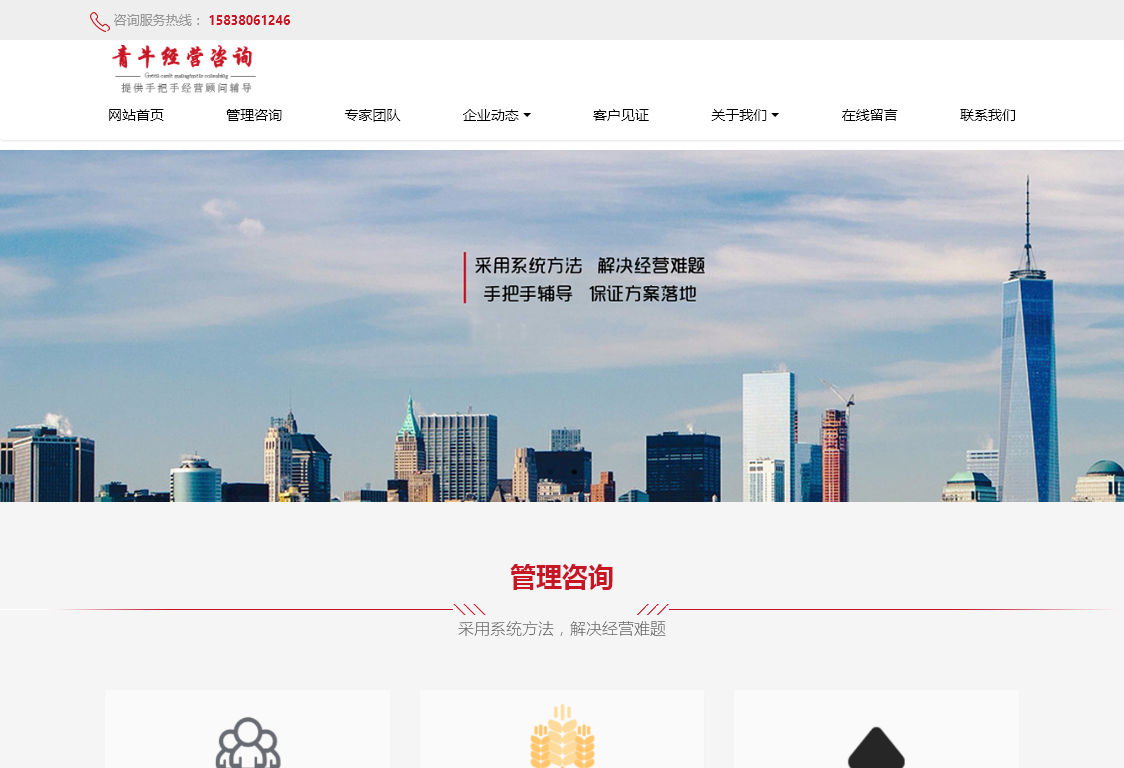 青牛管理咨询