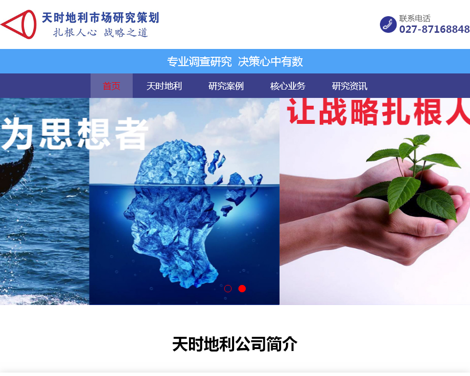 湖北天时地利市场研究策划