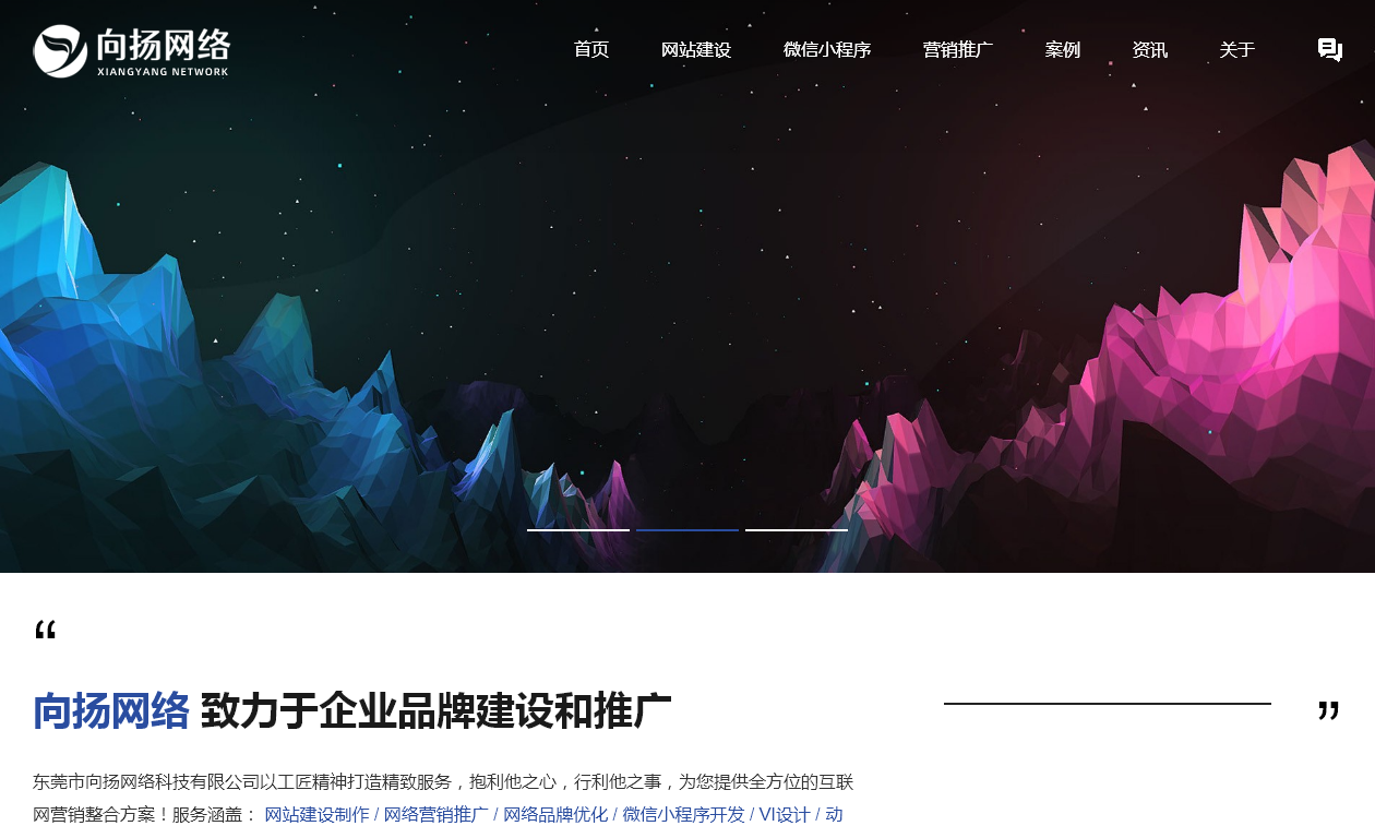 东莞市百域网络科技