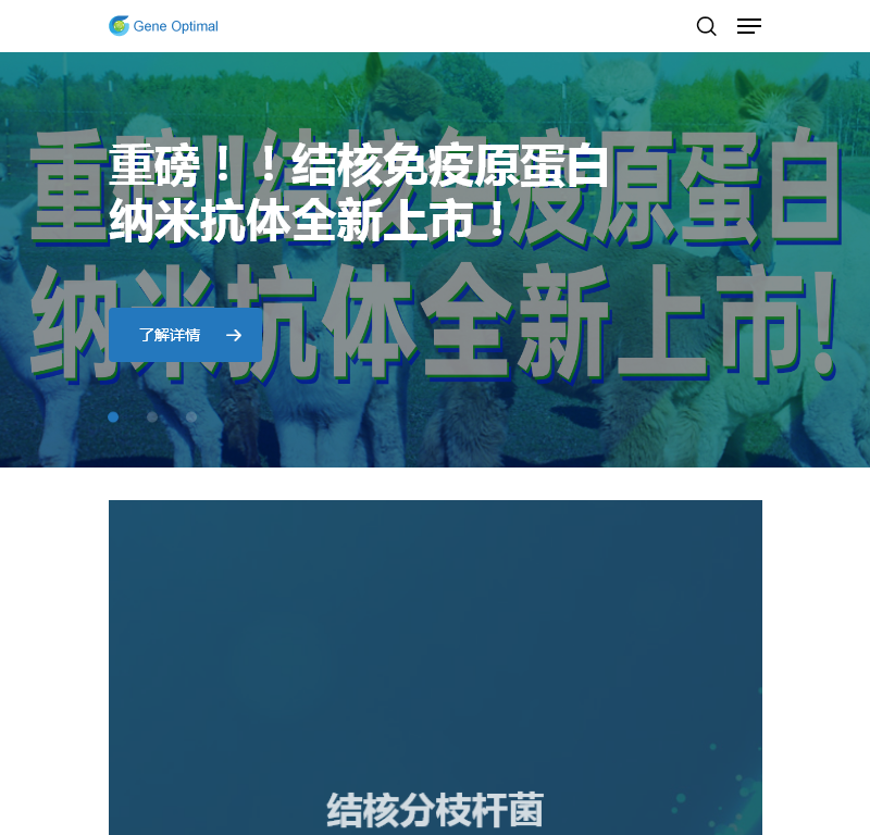 基因优化