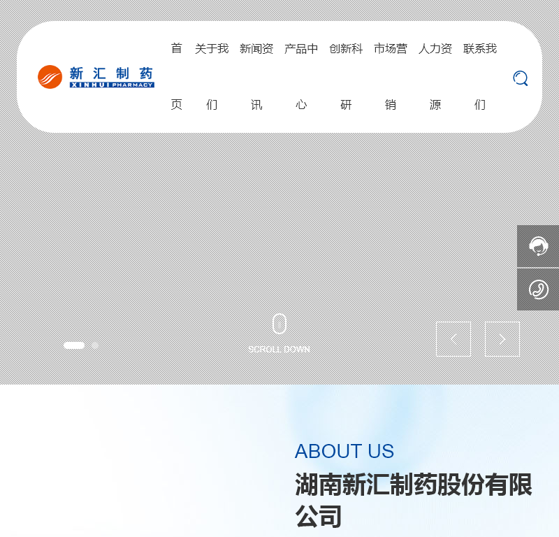 湖南新汇制药