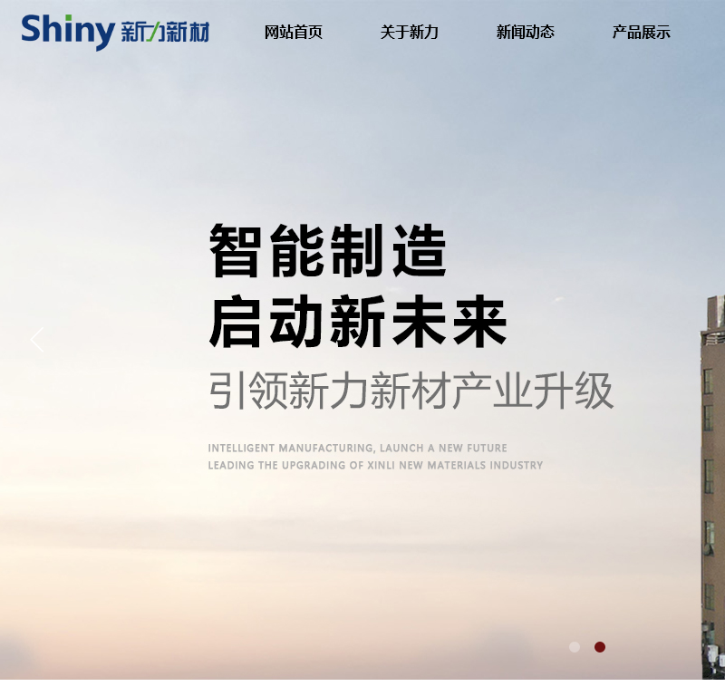 浙江新力新材料